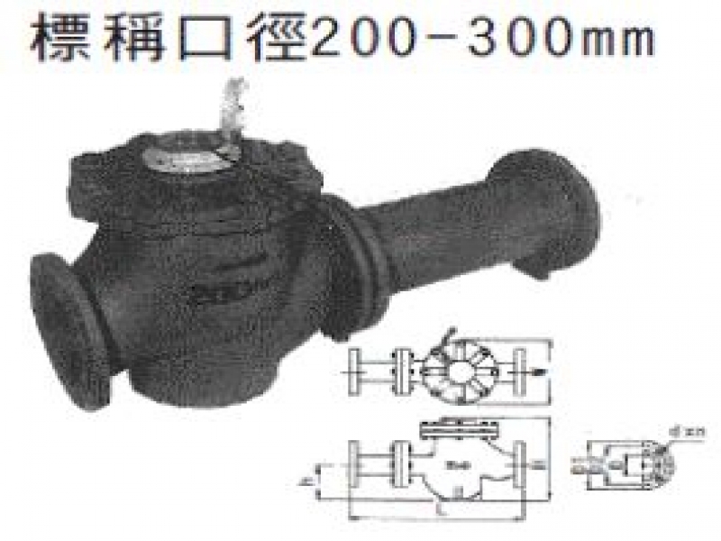 水錶尺寸(200m/m~300m/m)